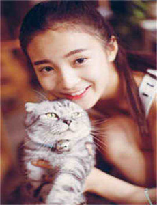 果冻传媒MV国产推荐视频下载/重生狂澜