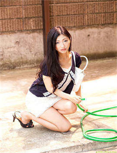 《大唐女将樊梨花电视剧》